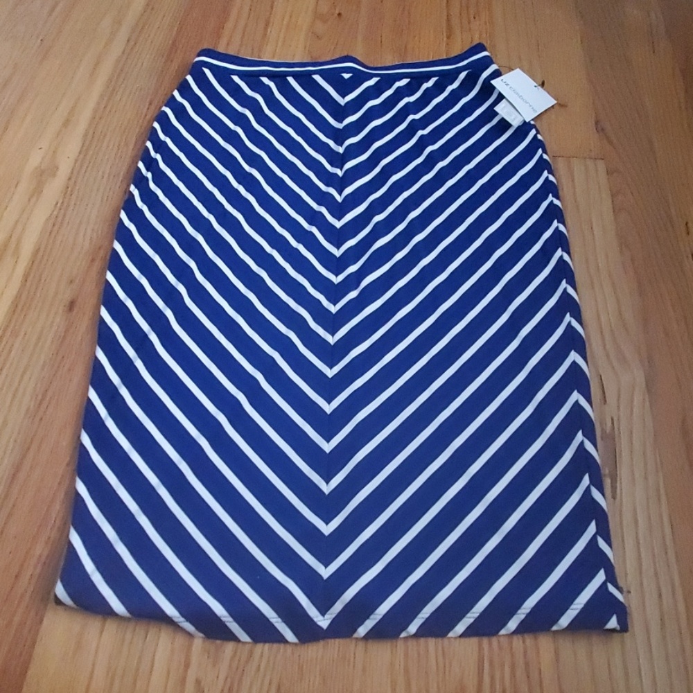 Liz Claiborne Maxi Skirt